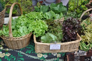 Kauai Grown Produce Support Kauai Grown