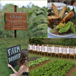 Outstanding in the Field Olana Farms Kauai