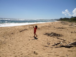 Lydgate Beach