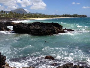 Viewing sea turtles on Kauai
