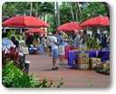 Useful Kauai Phone Numbers