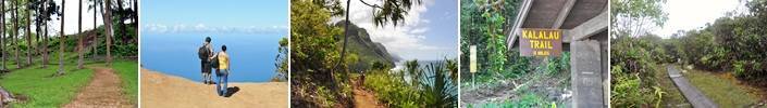 Kauai Hiking Trails Guide