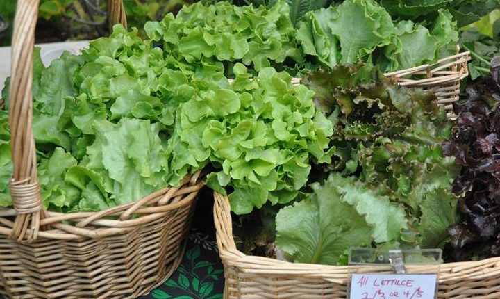 Kauai Farmers Markets | Kauai.com