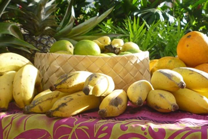 Kauai Farmers Markets Kauai Farmers Markets