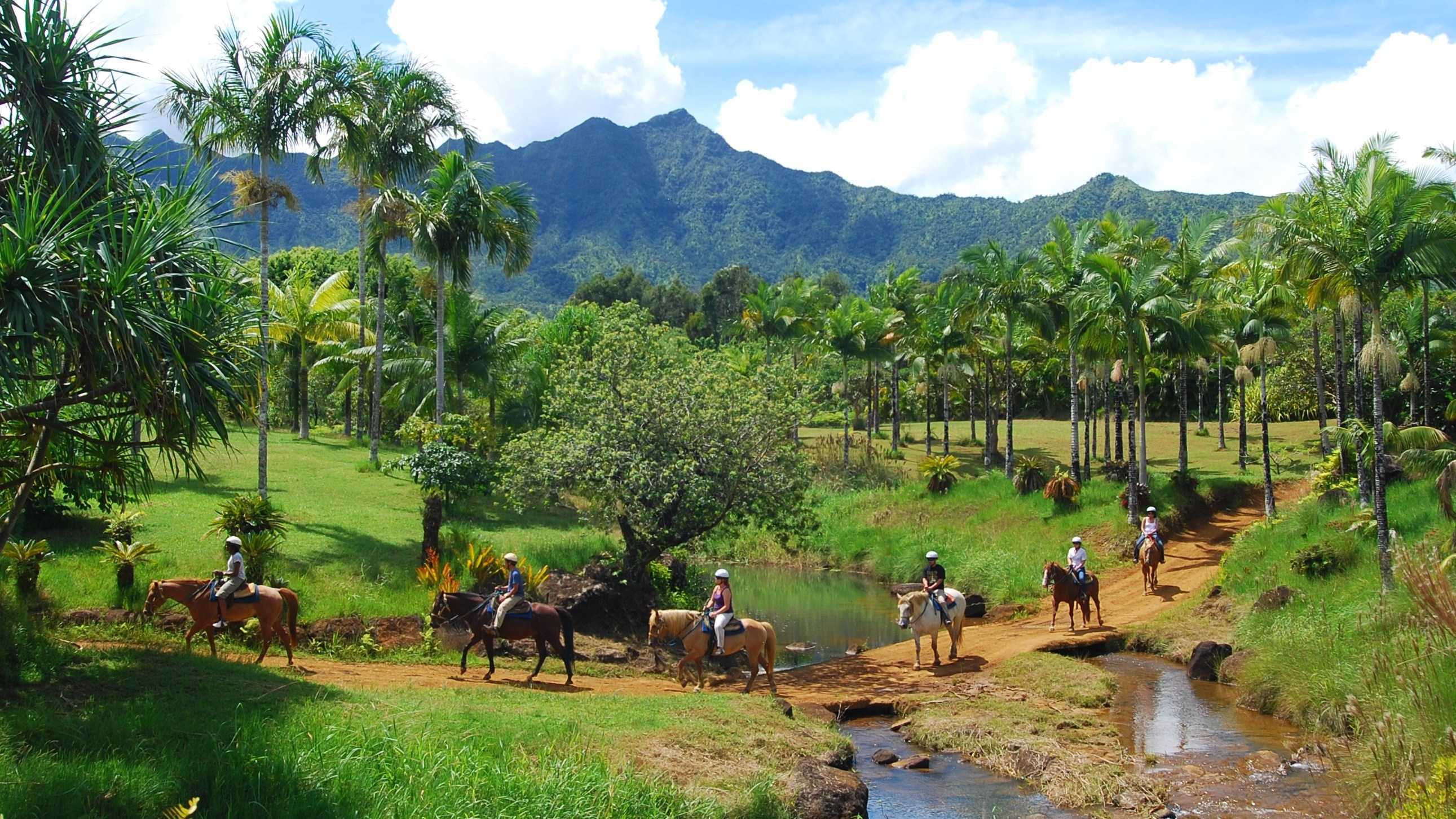 Hawaiian Discovery Horseback Ride