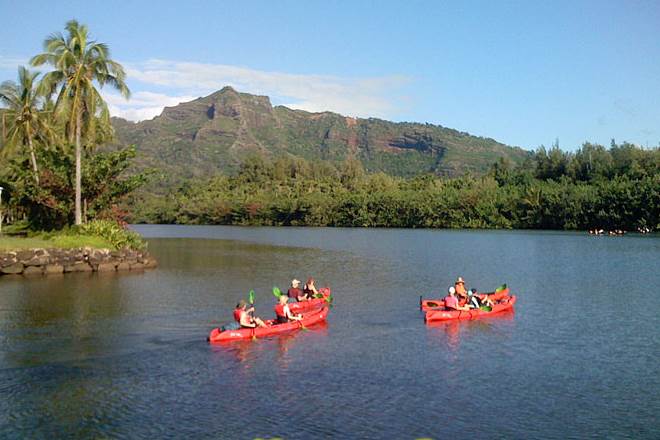  Tours &amp; Activities / Kauai Hiking Tours / Wailua Jungle River Kayak