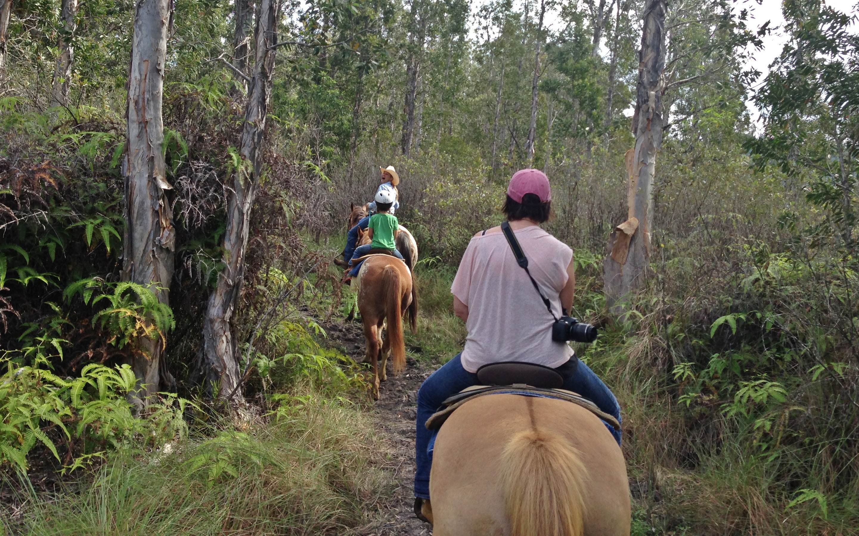 Kauai Horseback Riding