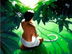Halelea The Art of Hawaiian Living in Kauai
