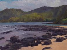 Uri Blayer in Kauai