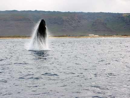 Makana Charters and Tours in Kauai