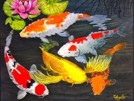 Aaron Smith Art in Kauai