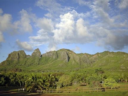 Aliomanu Beach House  Vacation Rental in Aliomanu Kauai