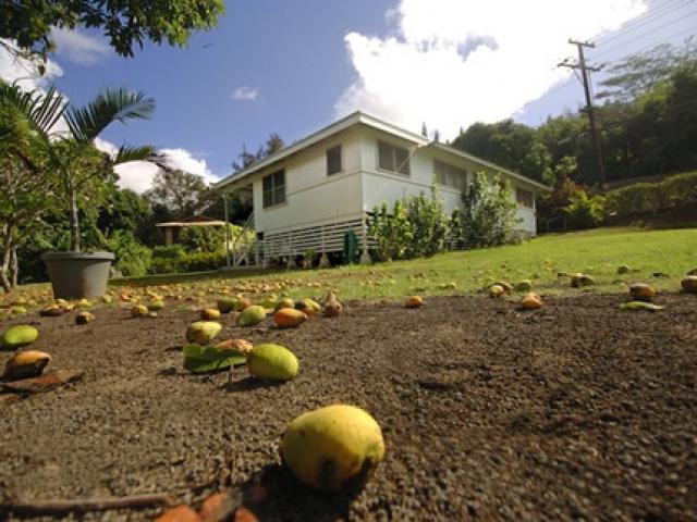 Kalapaki Mango Cottage Vacation Rental in Lihue Kauai