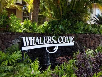 Whalers Cove Partial Ocean View Vacation Rental in Poipu Kauai