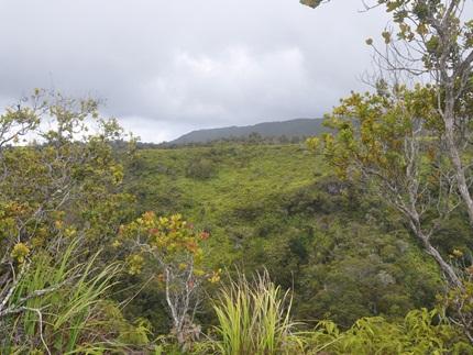 Powerline Trail,  Kauai Hikes