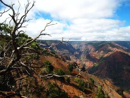 Waimea Canyon Trail,  Kauai Hikes