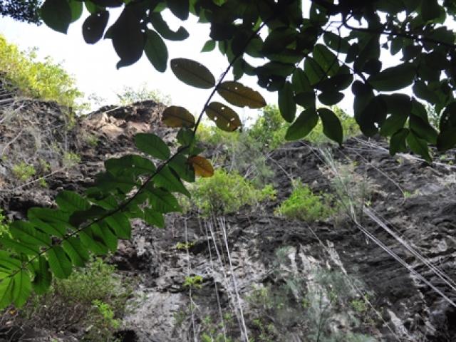 Wet And Dry Caves,  Kauai Attractions