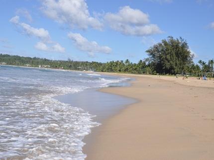 Waioli Beach Park  Lifeguarded,  Kauai Beaches