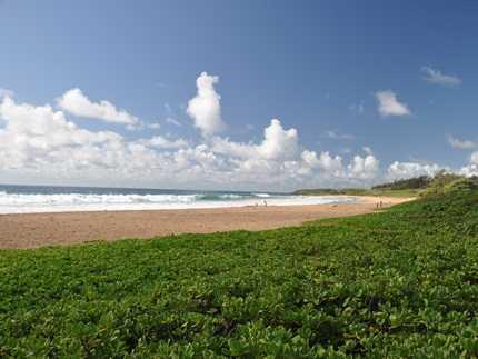 Kealia Beach - Lifeguarded,  Kauai Beaches