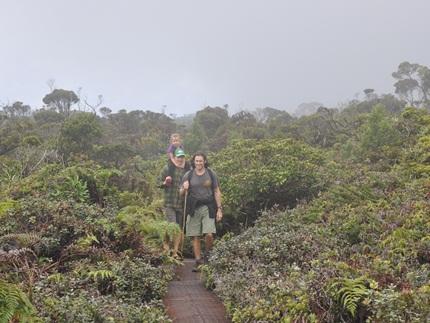 Pihea Trail - Alakai Swamp,  Kauai Hikes