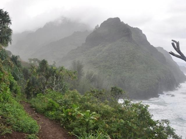 Hanakapiai Trail,  Kauai Hikes - Misty Hanakapiai Trail