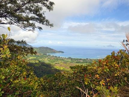 Okolehao Trail,  Kauai Hikes