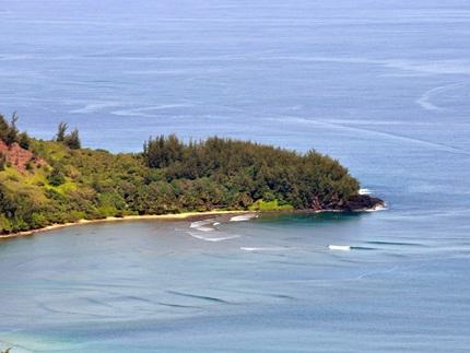Okolehao Trail,  Kauai Hikes