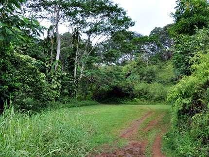 Kuilau Ridge Trail,  Kauai Hikes