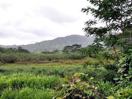 Kuilau Ridge Trail,  Kauai Hikes