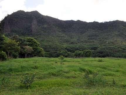 Nounou Kuamoo,  Kauai Hikes