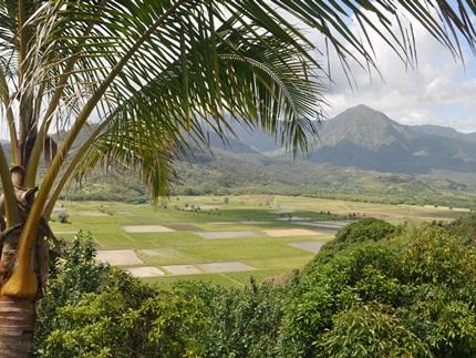 Hanalei Valley Lookout,  Kauai Attractions - Hanalei Valley Scenic Overlook