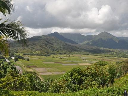 Hanalei Valley Lookout,  Kauai Attractions