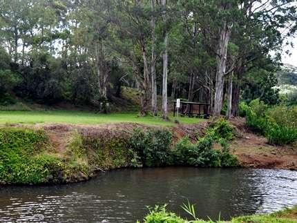 Keahua Arboretum,  Kauai Attractions