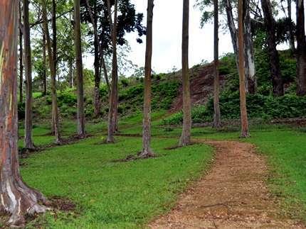 Keahua Arboretum,  Kauai Attractions