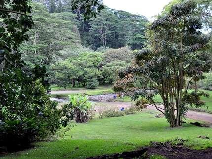 Keahua Arboretum,  Kauai Attractions
