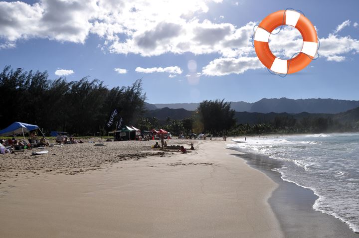 Waioli Beach Park - Pine Trees | Kauai.com