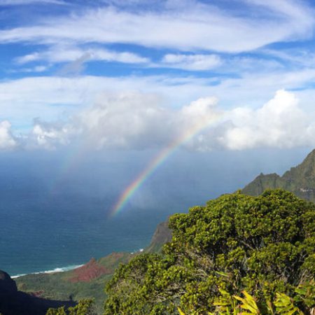 Ultimate Kauai Private Tour West Side Kauai