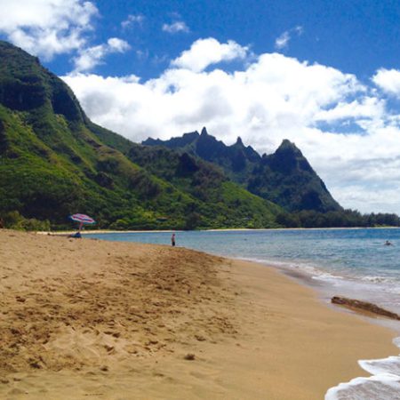 bus tours kauai