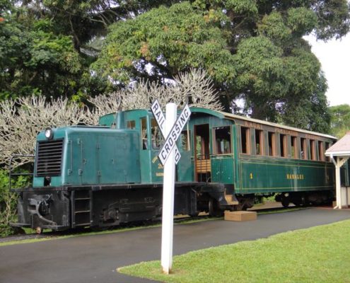 Kilohana Train Ride