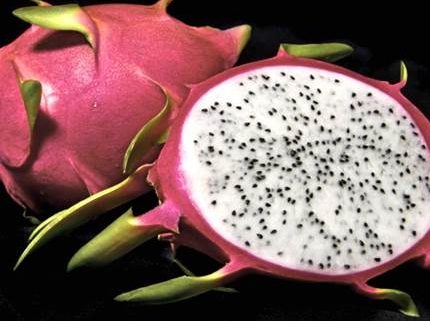 Kauai Exotic Fruits