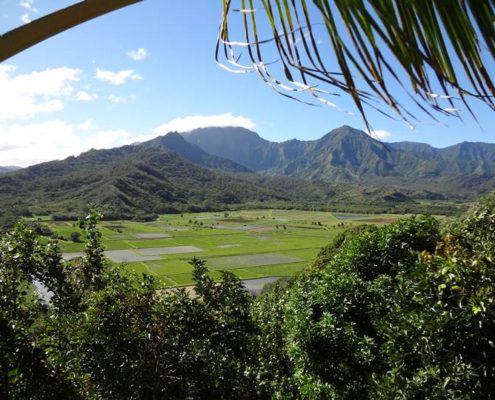 Scenic Lookout Hanalei Valley