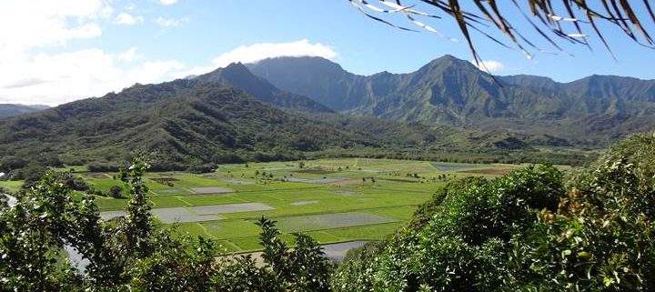 Scenic Lookout Hanalei Valley
