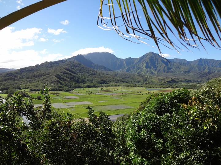 Hanalei Valley Lookout