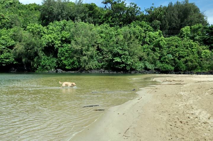 Kalihiwai River