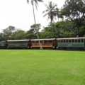 Train Tour of Kilohana Gardens