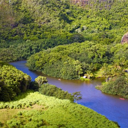 bus tours kauai