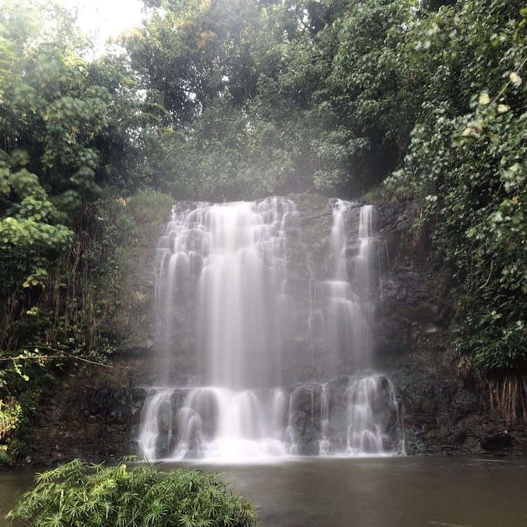 kauai waterfall swim tours