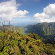 Alakai Pihea Trail