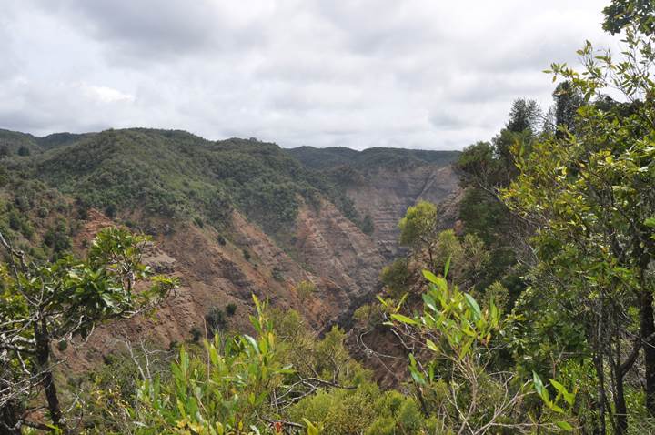 Waimea Canyon Hiking Kauai