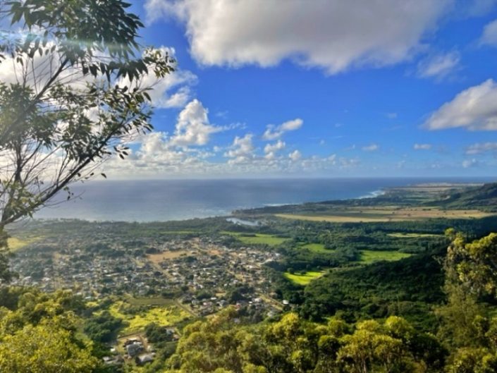 Sleeping Giant Hiking Trail Kuamoo Road Kauai, Hawaii